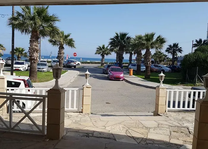 Zorbas No 2